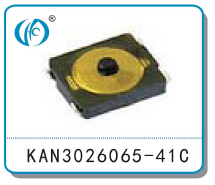 KAN3026065-41C